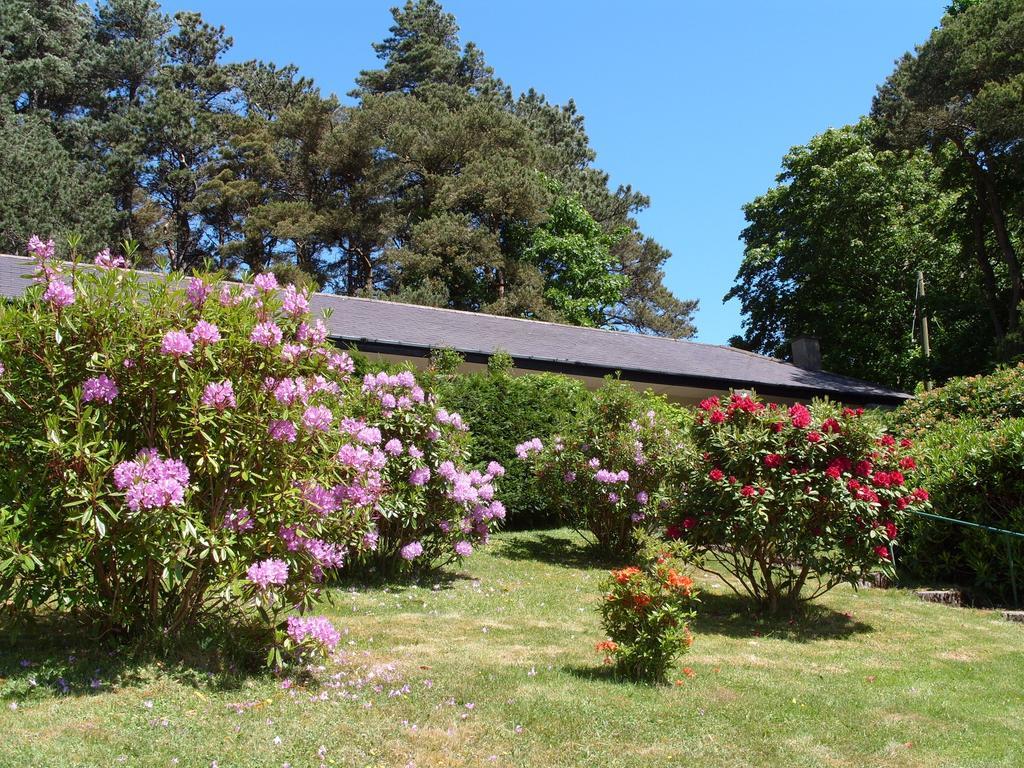 Plas Heulog Holiday Accommodation Llanfairfechan Exteriér fotografie
